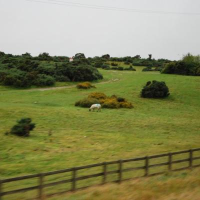 Dsc 0998