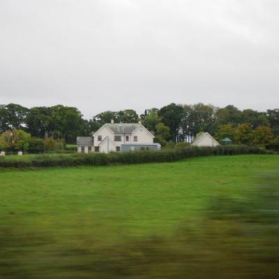 Dsc 1006