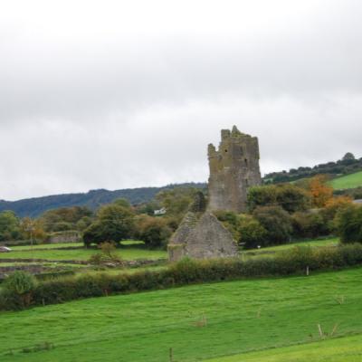 Dsc 1016