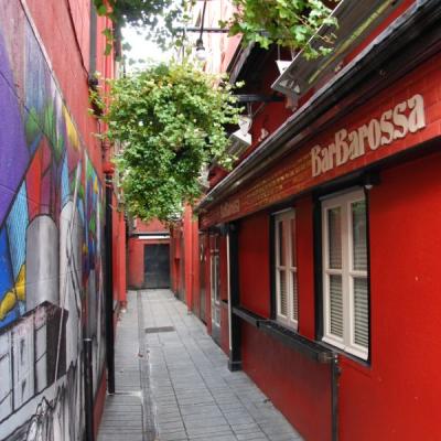 Dsc 1055