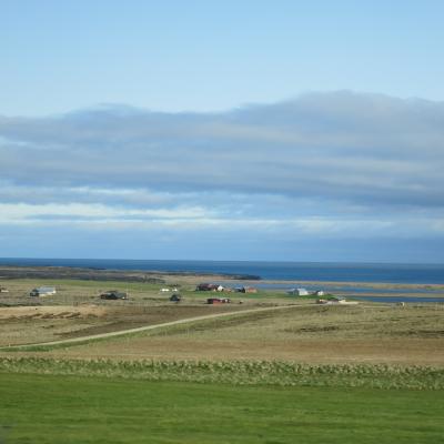 Img 8811